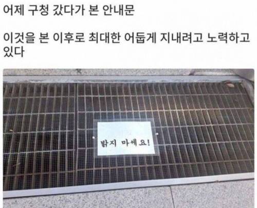 앞으로 어둡게 살겠습니다.jpg