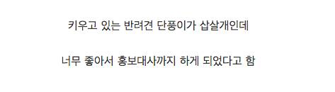 배우 조승우가 가진 특이 이력.jpg