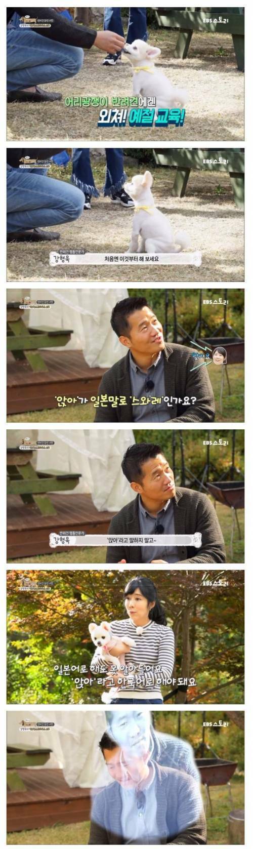 상대를 잘못만난 강형욱.jpg