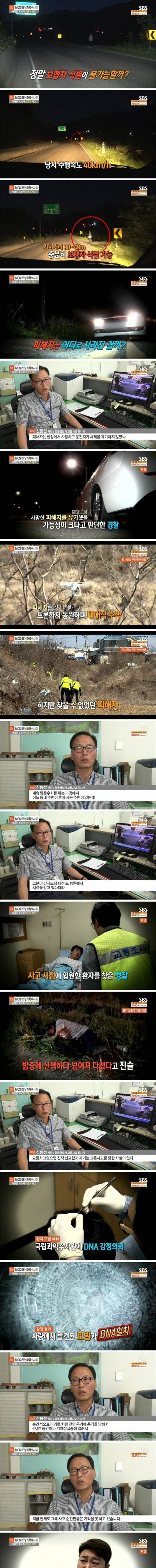 [스압] 산짐승을 치었다는 사고 운전자