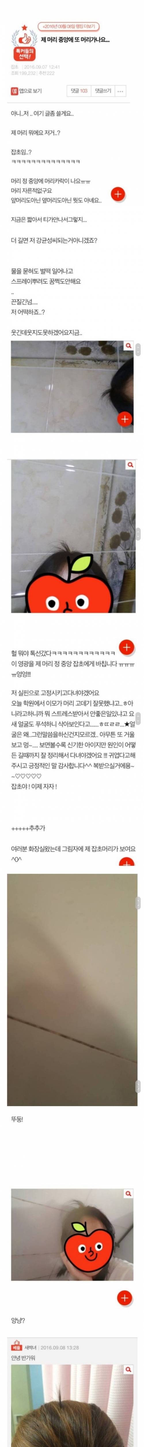 [스압] 제 머리 중앙에 또 머리가 나요....jpg