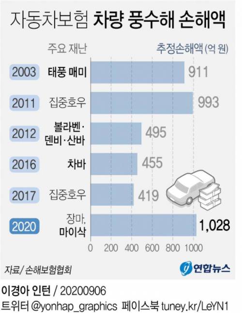 자동차보험 차량 풍수해 손해액 현황.jpg