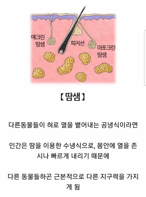 수많은 동물들중 인간의 신체적 장점.jpg