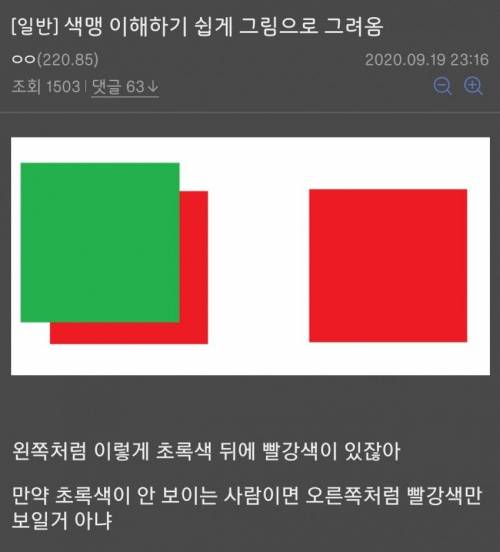 색맹 이해하는 디시인.jpg