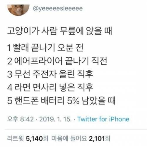 고양이가 사람 무릎에 앉을 때.jpg