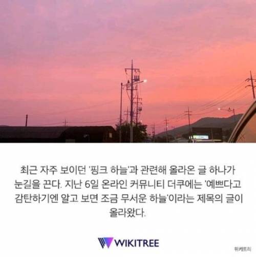 자주 보이던 '핑크 하늘'…알고 보니 너무 소름