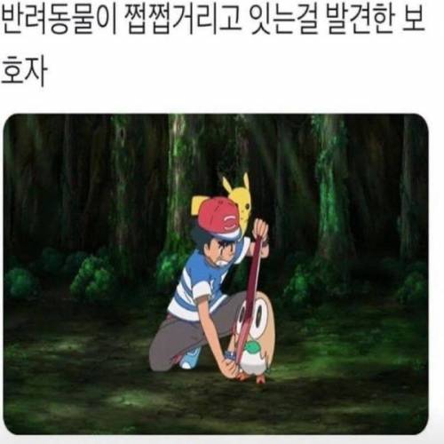 반려동물 쩝쩝 발견한.jpg