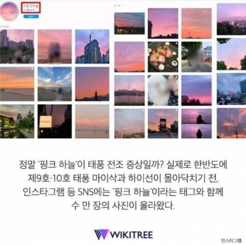 자주 보이던 '핑크 하늘'…알고 보니 너무 소름