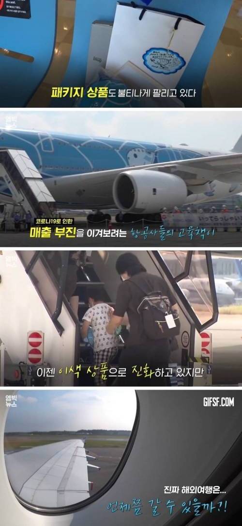 [스압] 불티나게 팔리는 신박한 여행 상품.jpg