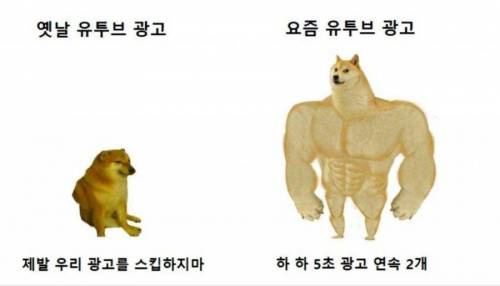 유튜브 현황.jpg