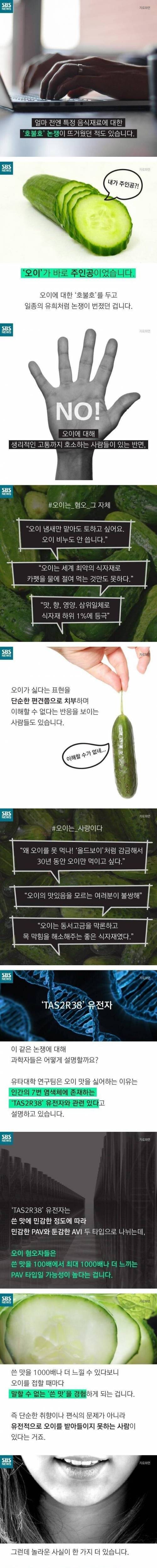 [스압] 오이가 심하게 호불호 갈리는 이유