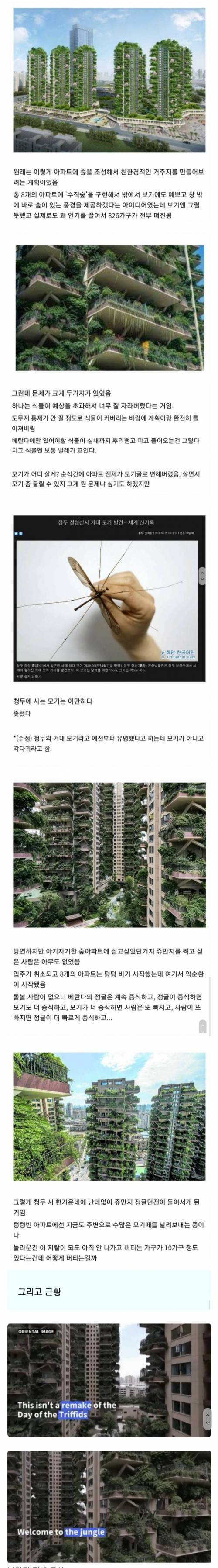 중국 친환경 아파트 근황.jpg
