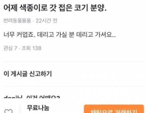 당근마켓으로 웰시코기 직거래.jpg