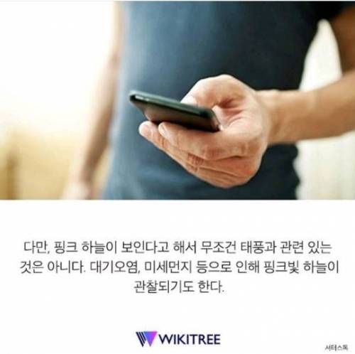 자주 보이던 '핑크 하늘'…알고 보니 너무 소름
