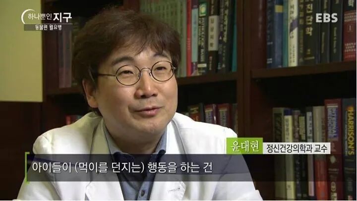 동물원의 동물들이 사망하는 이유.jpg