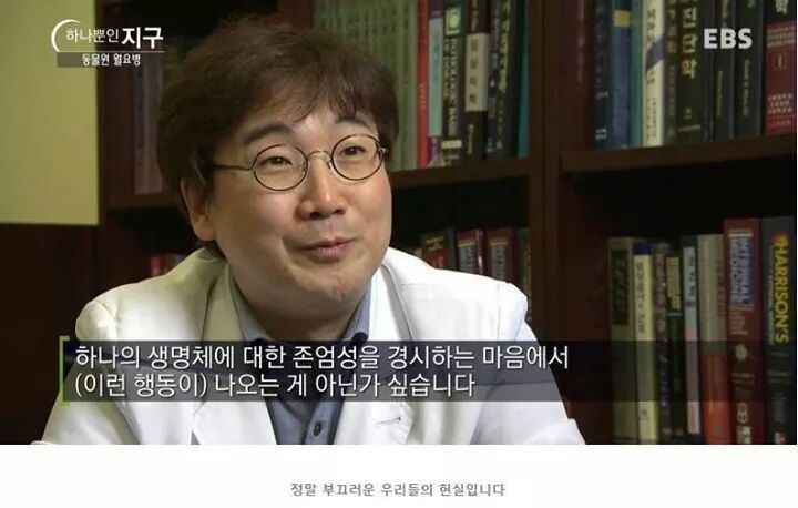 동물원의 동물들이 사망하는 이유.jpg