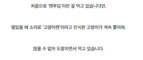 캔푸딩 시식기.jpg