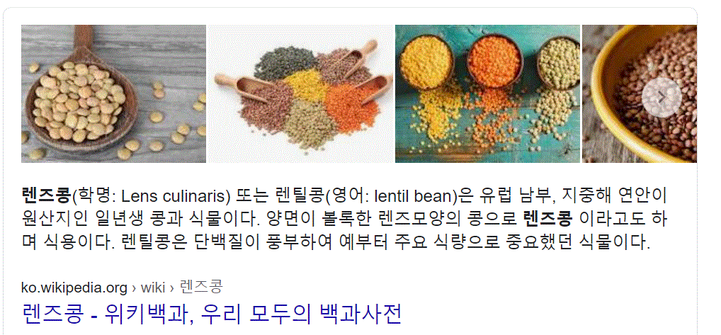 렌틸콩 유행시킨 사람.jpg