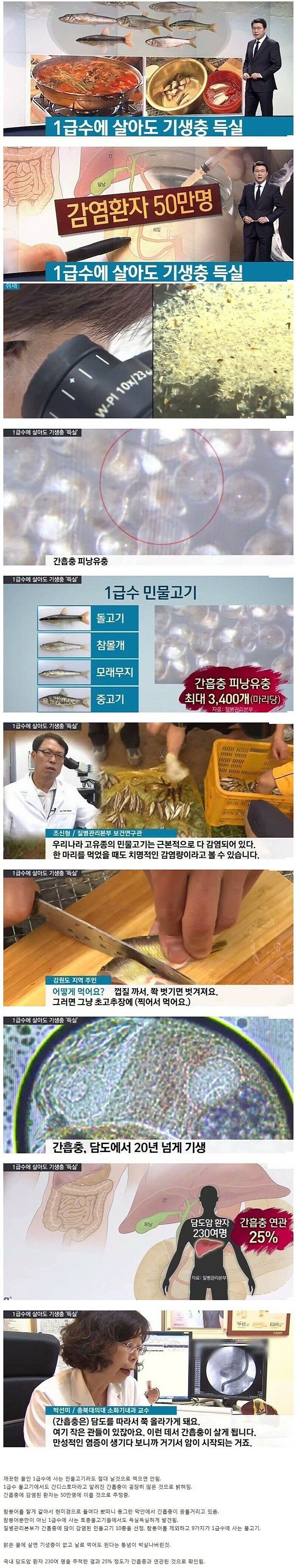 1급수에 사는 물고기를 먹으면 생기는 일.jpg