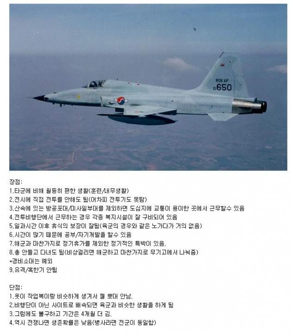 공군 장단점.jpg