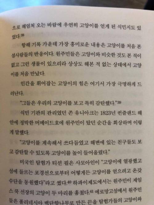 고양이를 처음 본 원주민.jpg