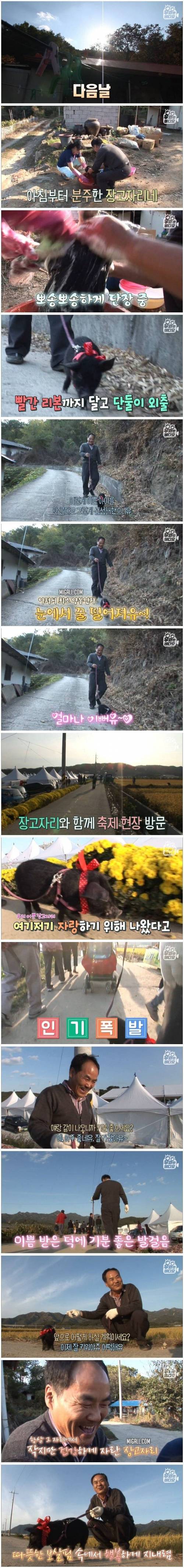 [스압] 살 안찌는 돼지.jpg
