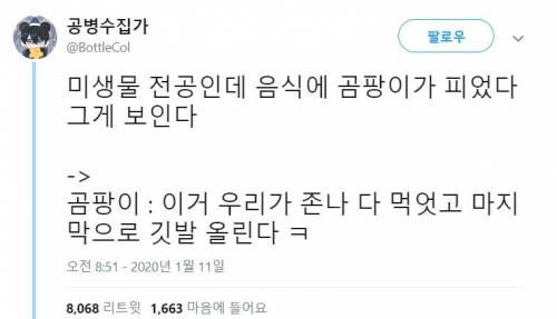 곰팡이 핀거 그 부분만 덜어내고 먹으면 됨