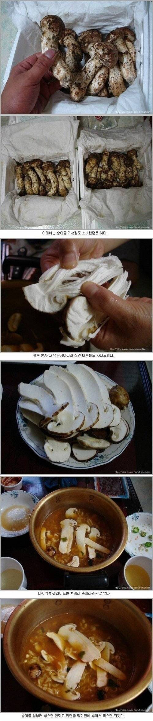 바로 이해되는 비유.jpg