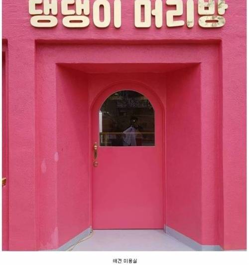 [스압] 가장 성공한 근본있는 야민정음.jpg