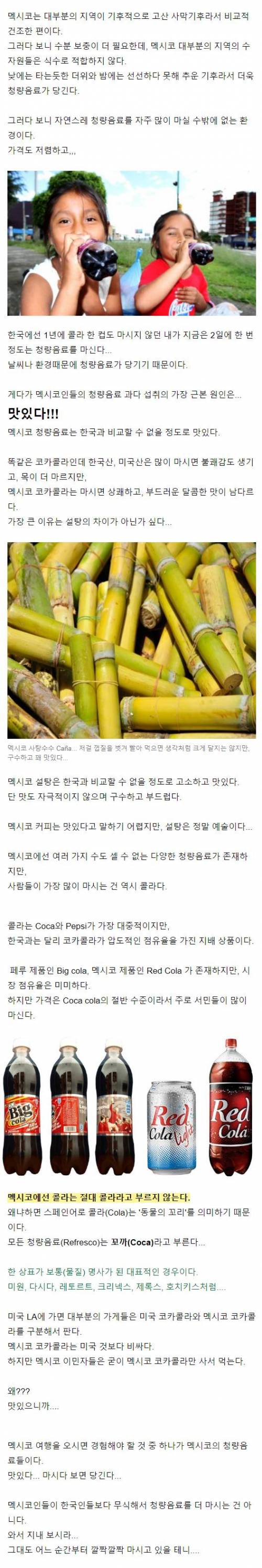멕시코에가면 꼭 먹어봐야 하는 음식.jpg