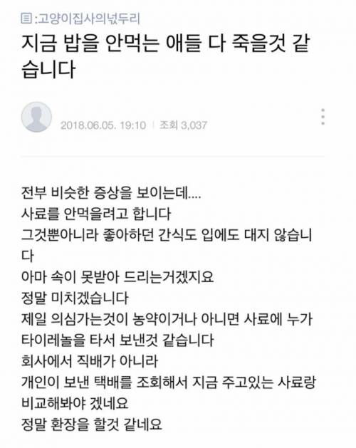 [스압] 화가나는 고양이 출산 조리원 사연