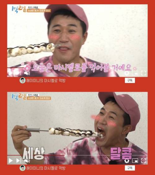 [스압] 헤이미니의 마시멜로 먹방.jpg