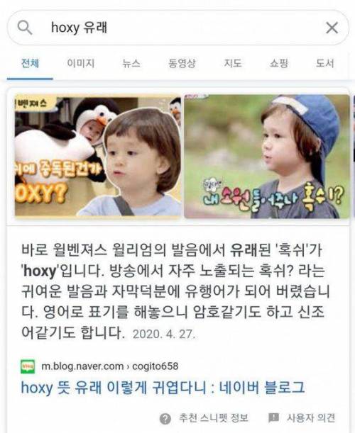 아무도 몰랐던 HOXY의 어원.jpg