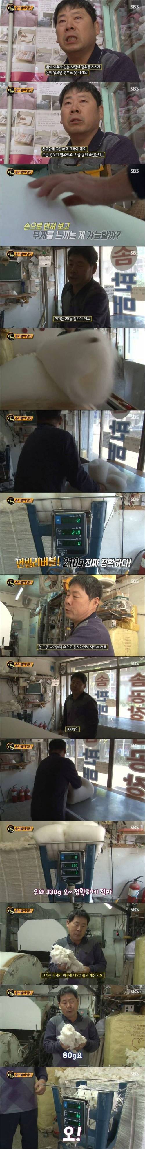 [스압] 목화솜 이불계의 거장