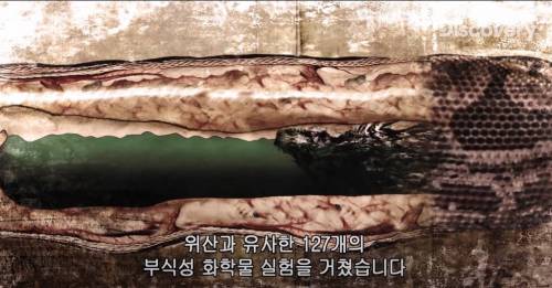 [스압] 아나콘다한테 먹혀보기.jpg