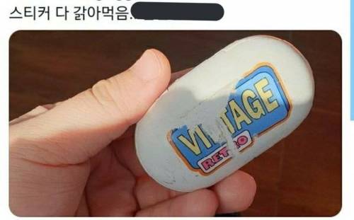 원숭이가 갤럭시 버즈 훔침.jpg