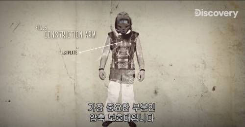 [스압] 아나콘다한테 먹혀보기.jpg