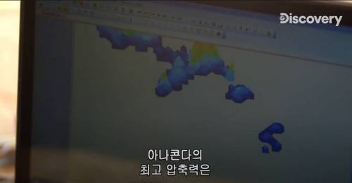 [스압] 아나콘다한테 먹혀보기.jpg