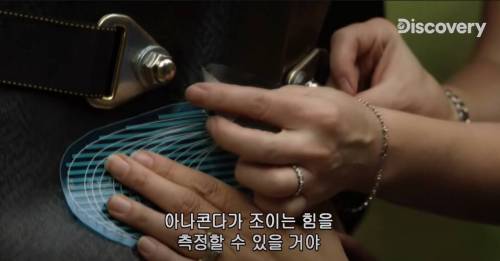 [스압] 아나콘다한테 먹혀보기.jpg