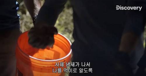 [스압] 아나콘다한테 먹혀보기.jpg