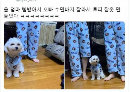 엄마가 강아지 잠옷 만들어줌.jpg