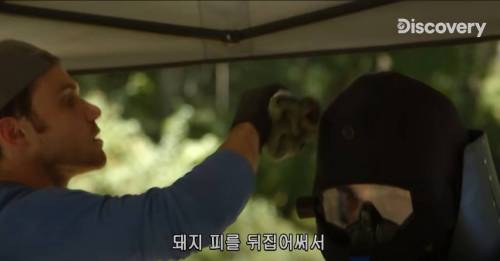 [스압] 아나콘다한테 먹혀보기.jpg