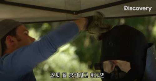 [스압] 아나콘다한테 먹혀보기.jpg