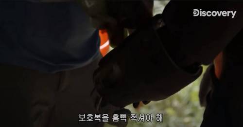 [스압] 아나콘다한테 먹혀보기.jpg