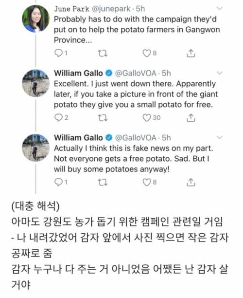 서울 한복판에 등장한 왕감자.jpg