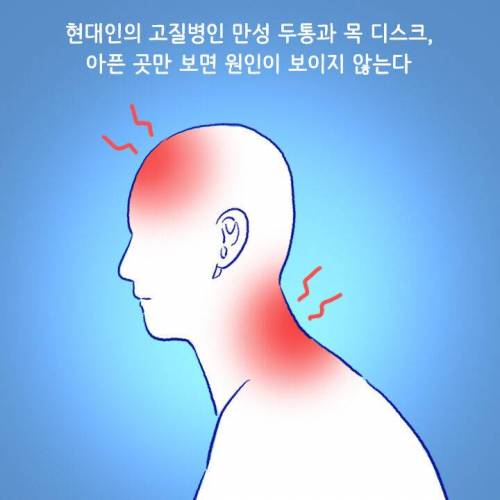 [스압] 목이나 어깨 아플 때 절대 주무르면 안 되는 부위