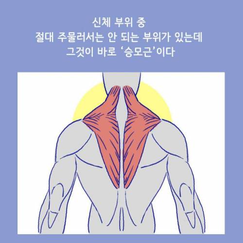 [스압] 목이나 어깨 아플 때 절대 주무르면 안 되는 부위