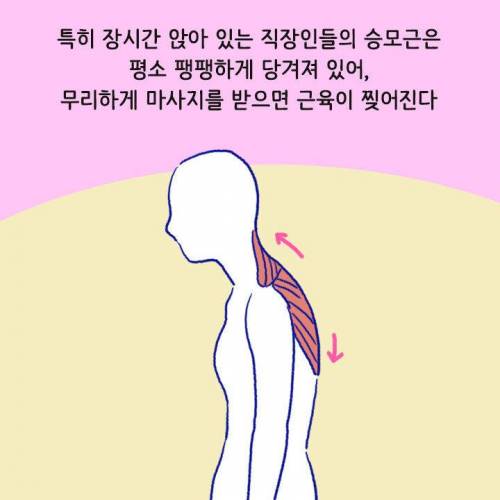 [스압] 목이나 어깨 아플 때 절대 주무르면 안 되는 부위
