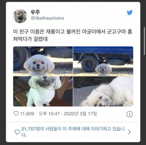 군고구마 도둑의 결정적 증거.jpg
