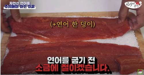 [스압&약혐] 자연산 연어를 주의해야 하는 이유